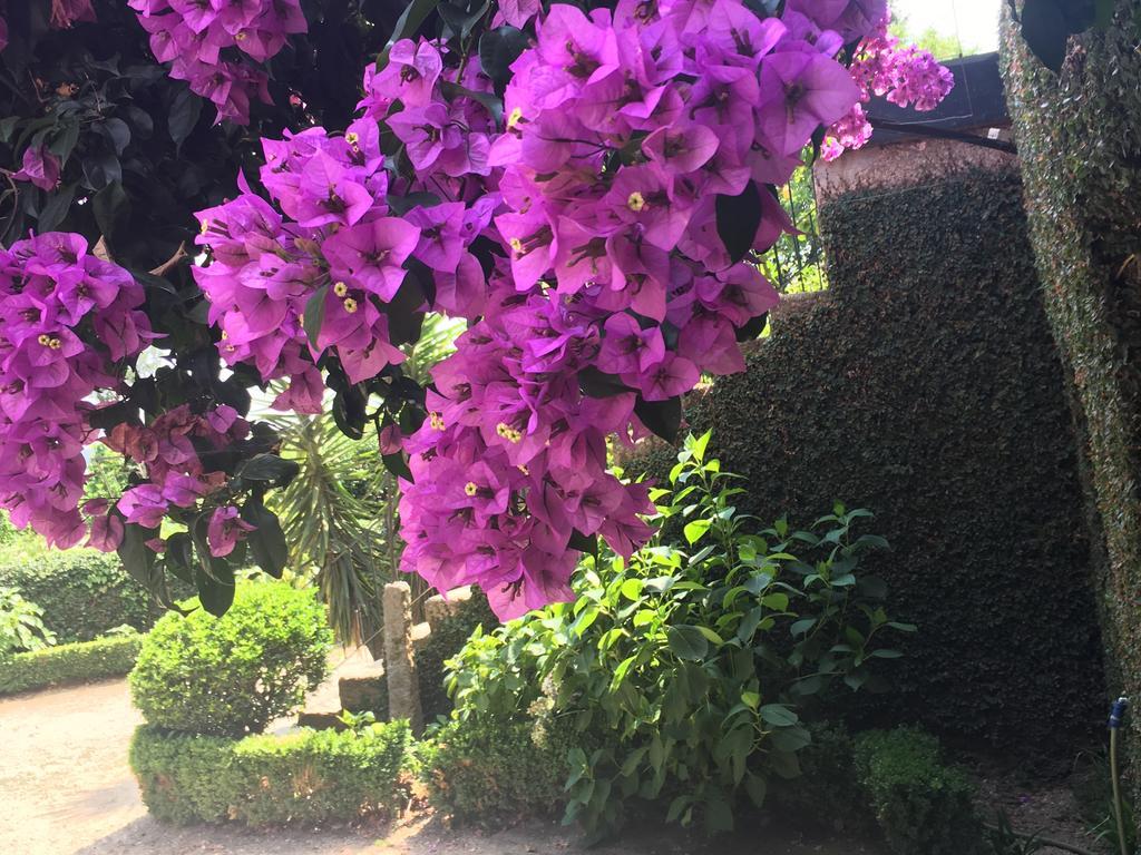 Quinta Da Ponte Do Louroゲストハウス エクステリア 写真